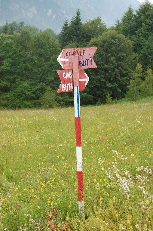 Complexul Turistic Cheile Butii Hotell Cîmpu lui Neag Eksteriør bilde